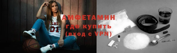 гашик Карпинск