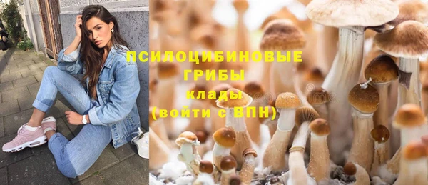2c-b Абдулино
