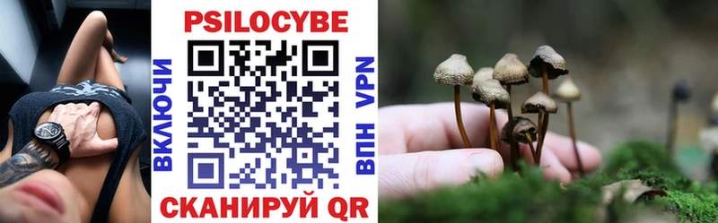 Галлюциногенные грибы мицелий  даркнет сайт  Вытегра 