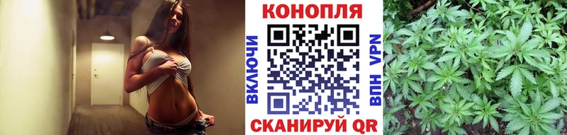 наркотики  Вытегра  Конопля MAZAR 